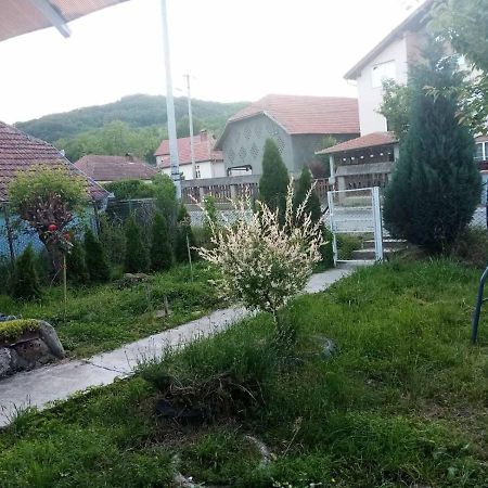 Apartmani Lina Ribarska Banja Zewnętrze zdjęcie