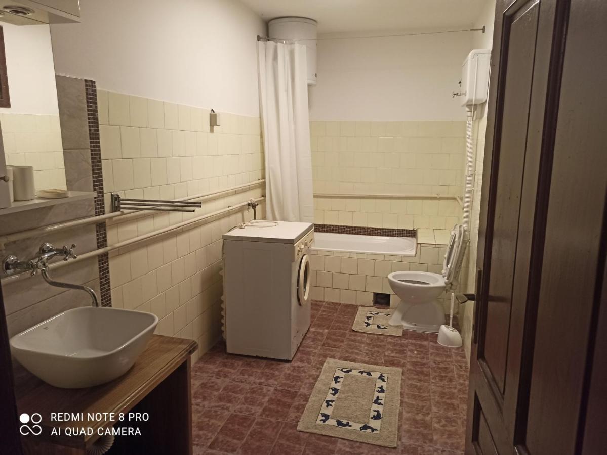 Apartmani Lina Ribarska Banja Zewnętrze zdjęcie