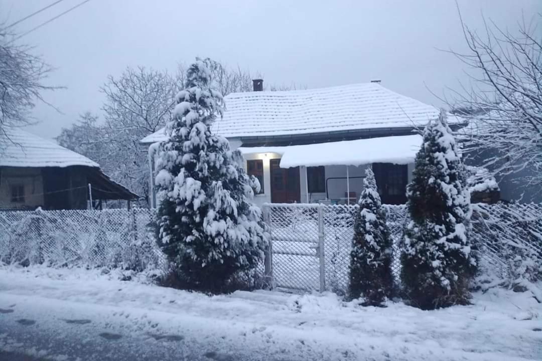 Apartmani Lina Ribarska Banja Zewnętrze zdjęcie